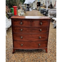 Regency Brass Knob Chest Drawers